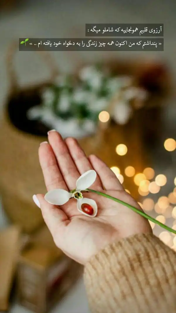 عکس نوشته