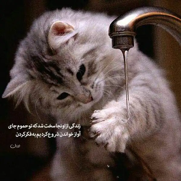 عکس نوشته