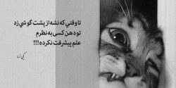 عکس پروفایل تیکه دار + عکس پروفایل های تیکه دار برای استوری
